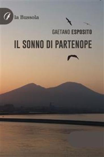 Il sonno di partenope - cover