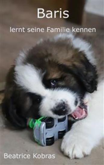 Baris - lernt seine Familie kennen - Teil 1 - cover