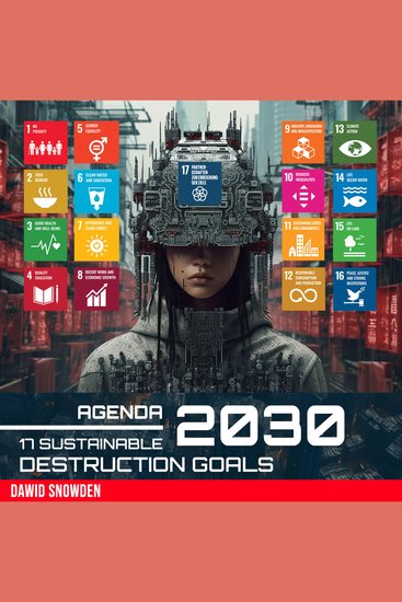 Agenda 2030 - 17 Sustainable Destruction Goals - cover