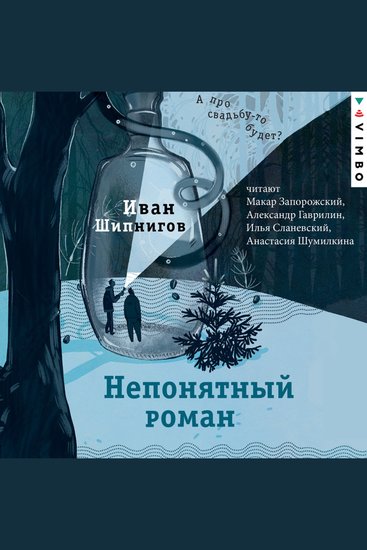 Непонятный роман - cover