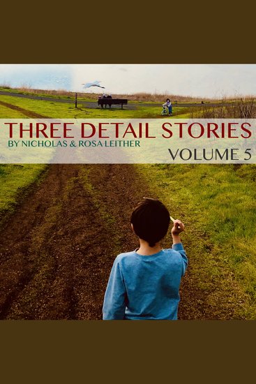 Three Detail Stories - Volume 5 - cover