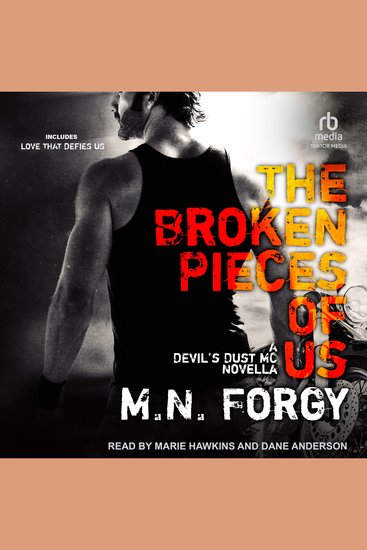 The Broken Pieces of Us Love That Defies Us - cover