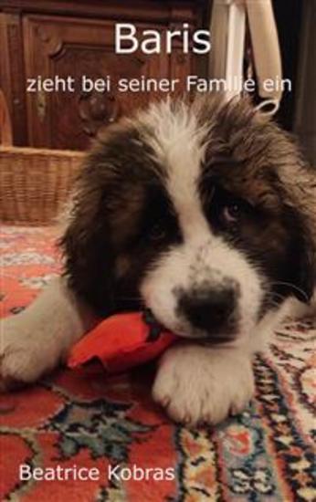 Baris zieht bei seiner Familie ein - Teil 2 - cover