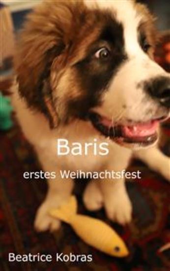 Baris erstes Weihnachtsfest - Teil 5 - cover