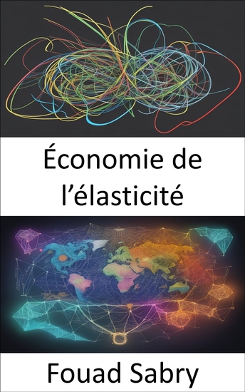 Économie de l’élasticité - Maîtriser la dynamique du marché et responsabiliser vos décisions - cover