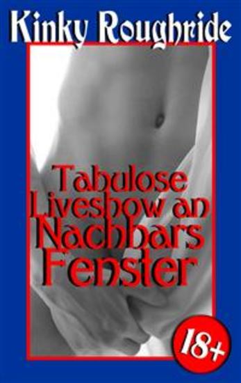 Tabulose Liveshow an Nachbars Fenster - Gay Erotik - cover