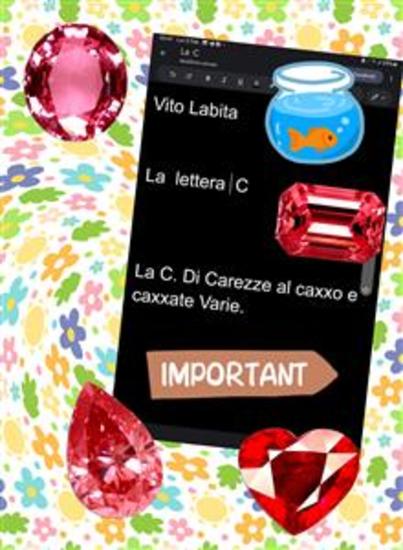 La Lettera c - La C Di Carezze al caxxo e caxxate varie - cover