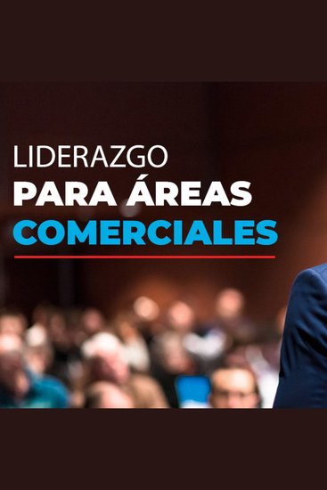 LIDERAZGO PARA EQUIPOS DE VENTAS EMPRESARIALES - Guía corta y concisa para inspirar a tu equipo convertirte en el líder que sueñas y lograr tus metas de ventas incluso si estás empezando - cover