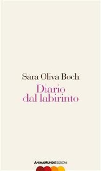 Diario dal labirinto - cover