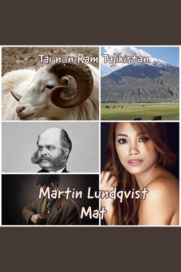 Tai nạn Ram Tajikistan - cover