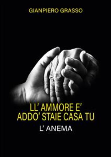 Ll'ammore e' addo' staie casa tu - l'anema - cover