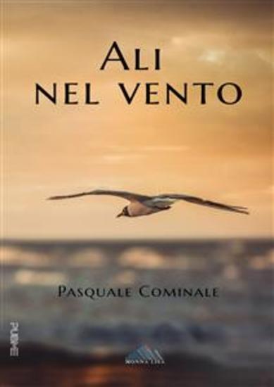 Ali nel vento - cover