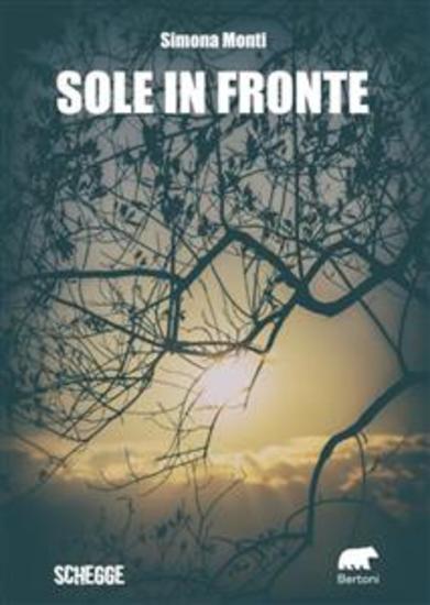 Sole in fronte - cover