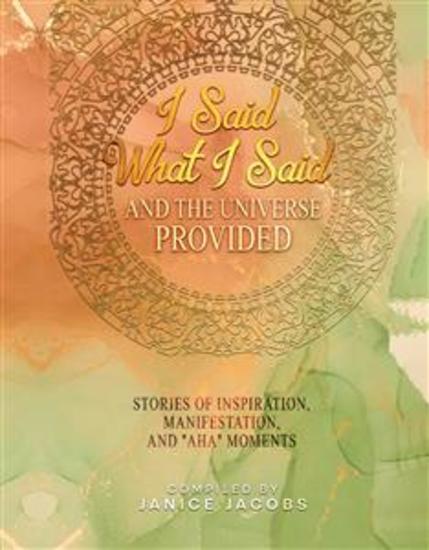 I Said What I Said And The Universe Provided - cover