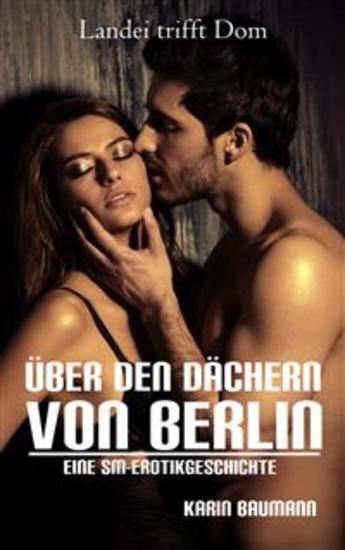 Über den Dächern von Berlin - Landei trifft Dom - Eine SM-Erotikgeschichte - cover