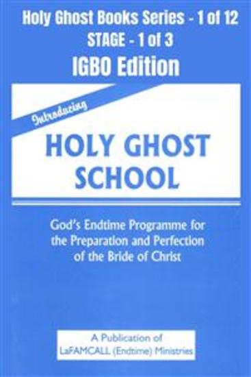 Introducing Holy Ghost School - God's Endtime Programme for the Preparation and Perfection of the Bride of Christ - IGBO EDITION - School of the Holy Spirit Series 1 of 12 Stage 1 of 3 - cover