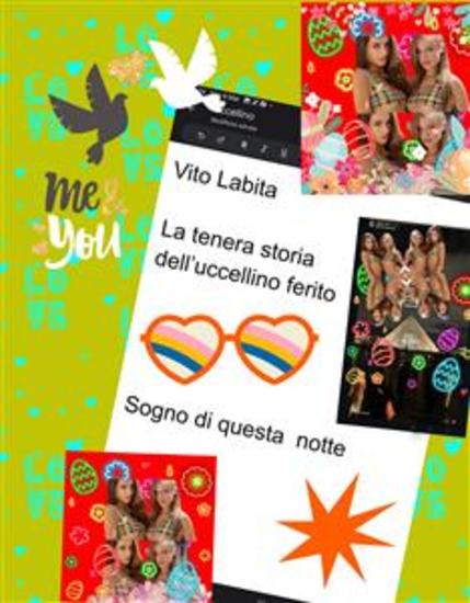 La tenera storia dell’uccellino ferito - Sogno di questa notte - cover