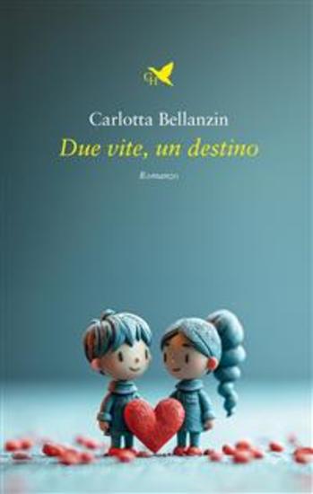Due vite un destino - cover
