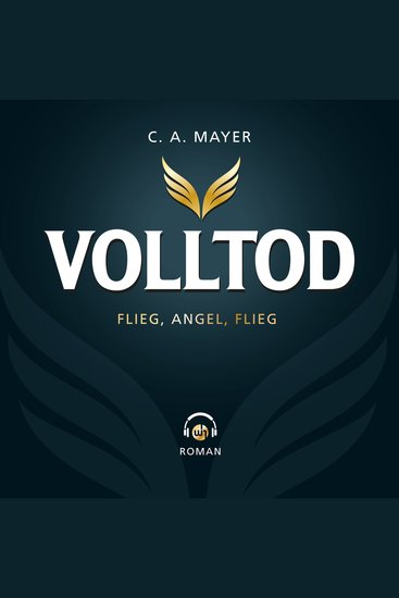 Volltod: Flieg Angel Flieg - cover