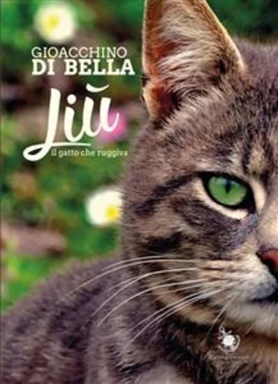 Liù il gatto che ruggiva - cover