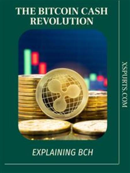 The Bitcoin Cash Revolution - Explaining BCH - cover