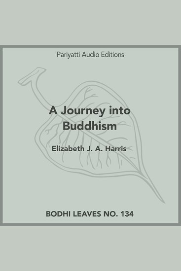 A Journey into Buddhism - cover