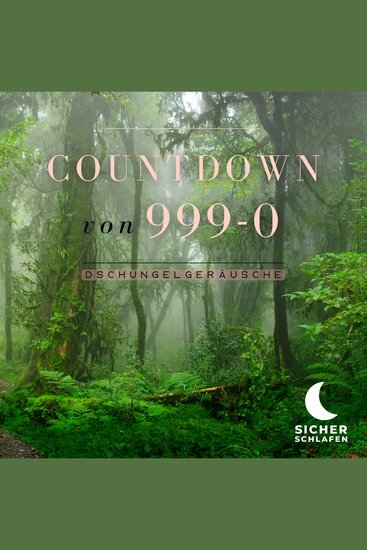 Countdown von 999-0: Dschungelgeräusche - cover
