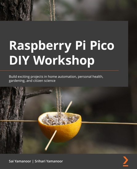 Raspberry Pi Pico DIY Workshop - Build exciting projects in home automation personal health gardening and citizen science - cover