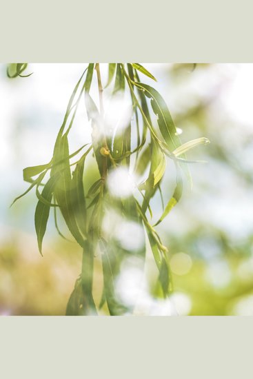 Необыкновенный день - Сказка для засыпания - cover