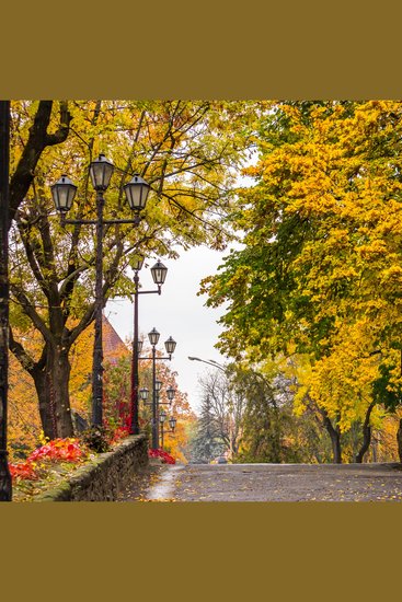 Человек который больше всего любил спать - Сказка для засыпания - cover