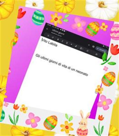 Gli ultimi giorni di vita di un neonato - cover