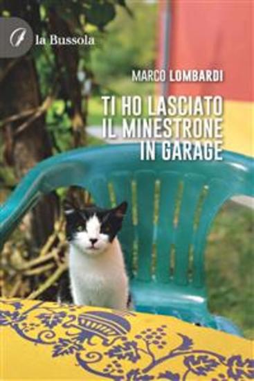 Ti ho lasciato il minestrone in garage - cover