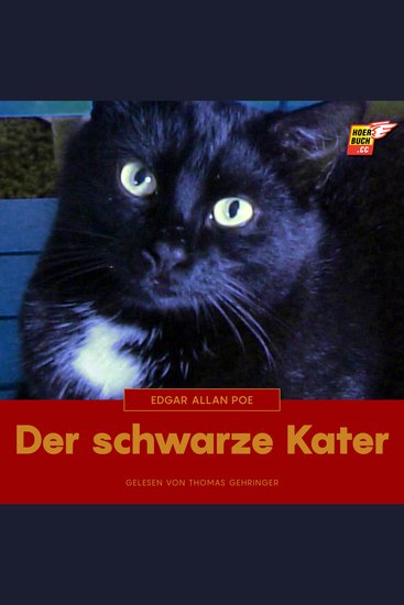 Der schwarze Kater - cover