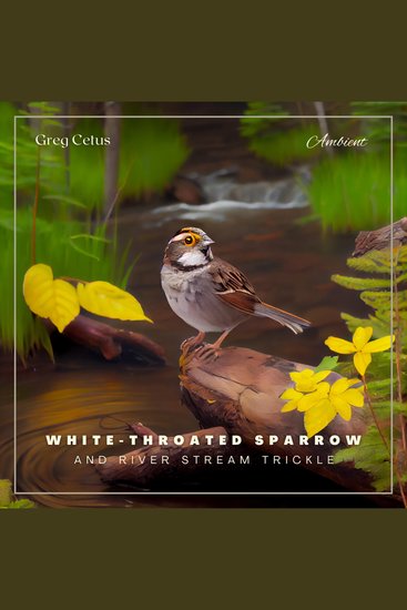 White-throated Sparrow and River Stream Trickle - Morning Birdsongs and Water Streams for Peace and Relaxation - cover