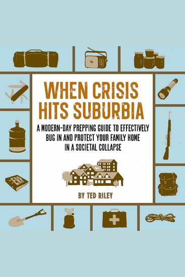When Crisis Hits Suburbia - cover