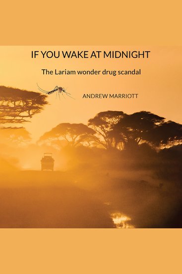 If You Wake at Midnight - cover