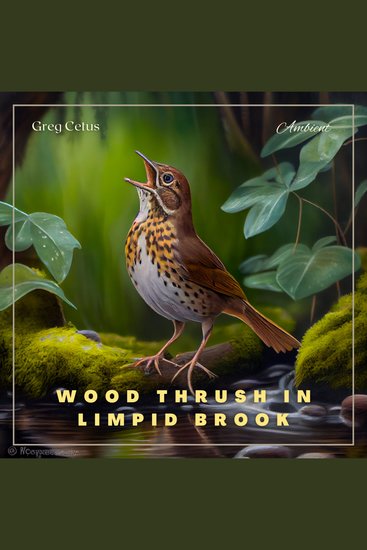 Wood Thrush in Limpid Brook - Gentle Birdsong and Water Trickle - cover