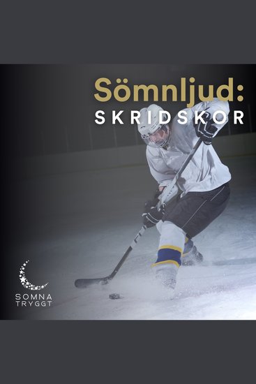 Sömnljud: - Skridskor - cover