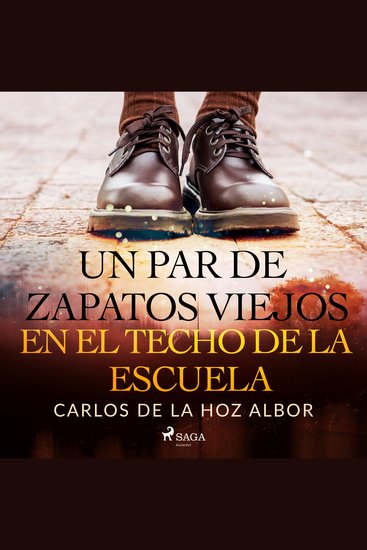 Un par de zapatos viejos en el techo de la escuela - cover