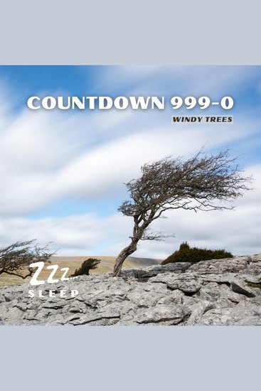 Countdown 999-0: Windy Trees - cover