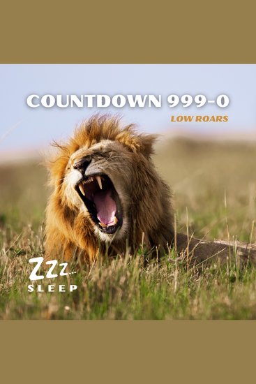 Countdown 999-0: Low Roars - cover