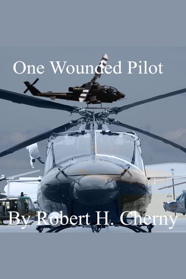One Wounded Pilot - And the Family that Loves Her - cover