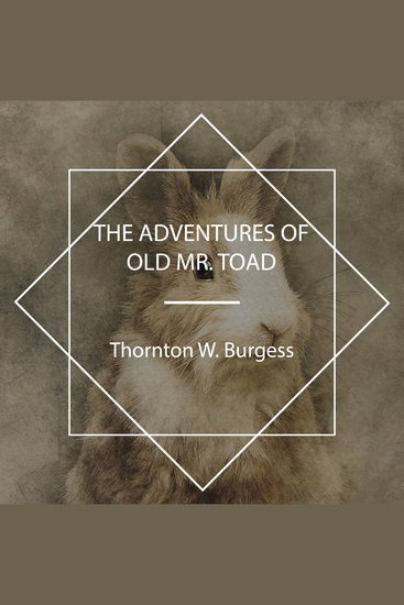 The Adventures of Old Mr Toad - cover