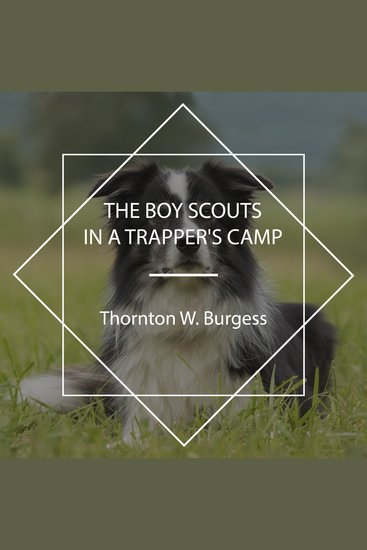 The Boy Scouts in a Trapper's Camp - cover