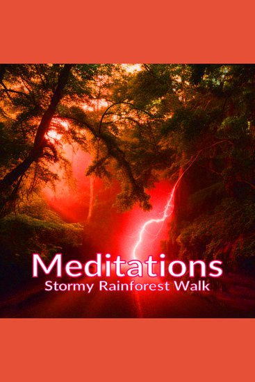 Meditations - Stormy Rainforest Walk - cover