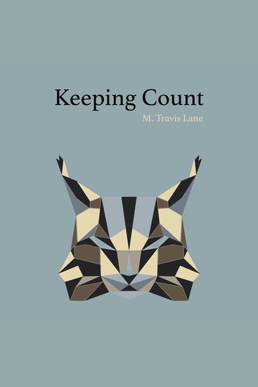 Keeping Count - cover