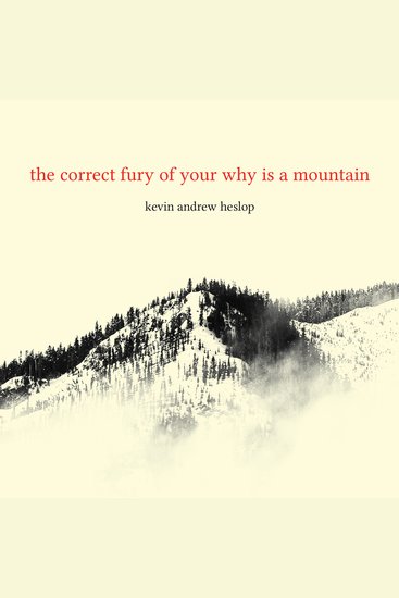 The correct fury of your why is a mountain - cover