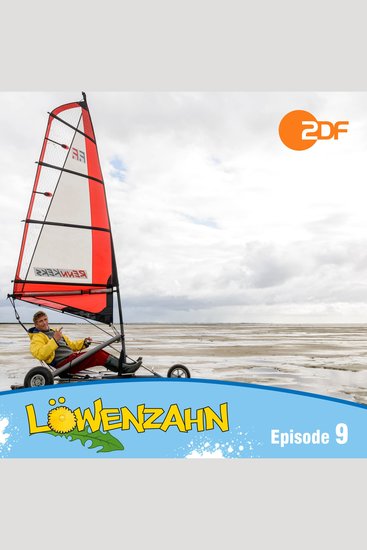 Episode 09: Sos im Wattenmeer - Das Original Hörspiel zur TV-Serie - cover