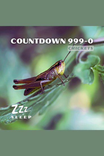 Countdown 999-0: Crickets - cover