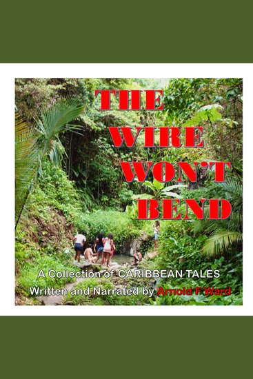 The Wire Won't Bend - cover